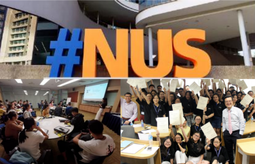 亚洲TOP2名校官方研学:多个课题可挑选,一周港新畅快玩~12 亚洲TOP2名校官方研学:多个课题可挑选,一周港新畅快玩~12