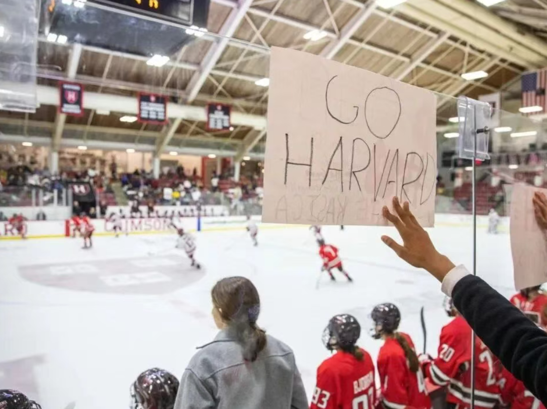 寒假研学招募 走进哈佛：在AI浪潮中重塑财会未来3