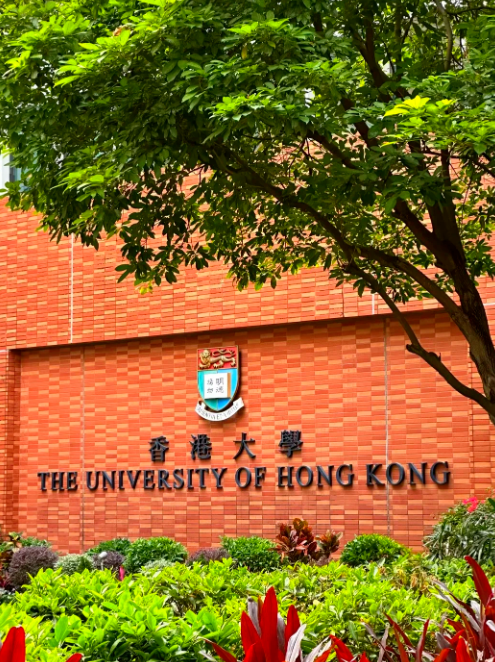 暑假逆袭天花板：花两周把剑桥、港大、新国立、悉尼大学全部写进简历3